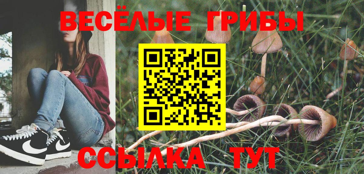 Псилоцибиновые грибы Psilocybine cubensis Луховицы